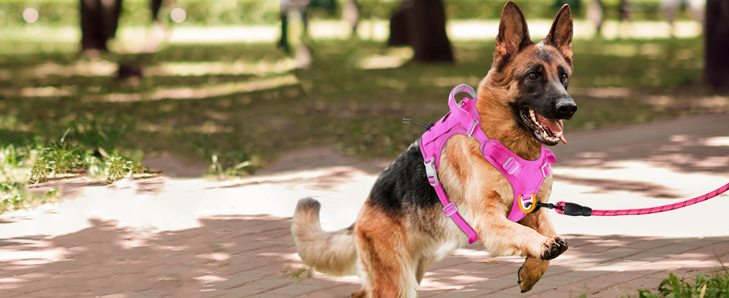 Choose the Perfect Tactical Dog Harness for Your Beloved Pet